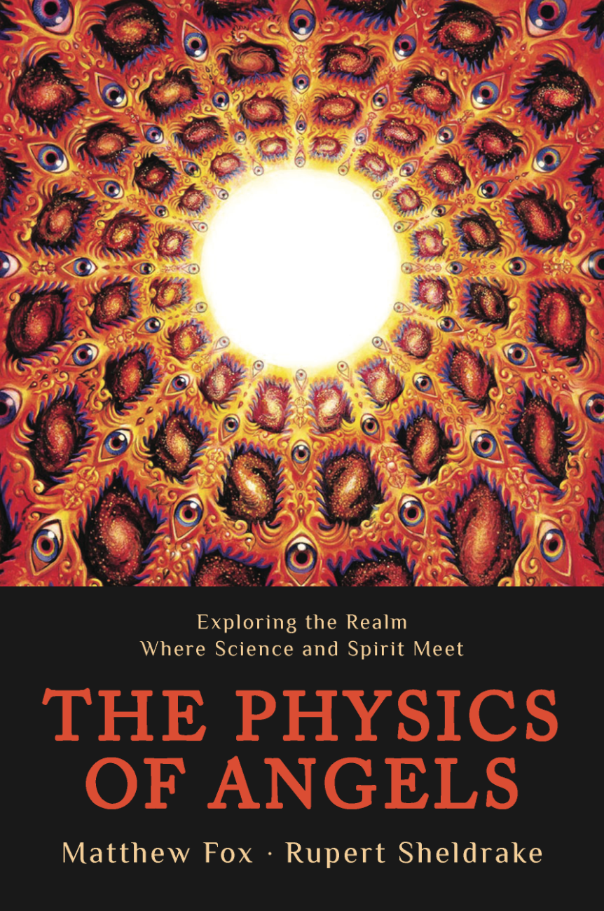 The Physics of Angels by Matthew Fox and Rupert SheldrakeMonkfish