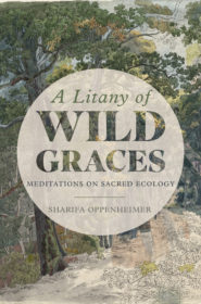 A Litany of Wild Graces