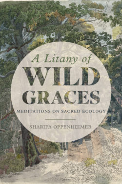 A Litany of Wild Graces
